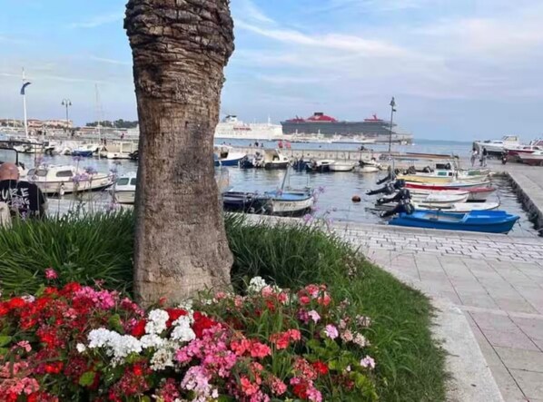 Marina/club náutico