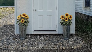 Un petit abri blanc avec une porte et deux pots de fleurs contenant des tournesols.