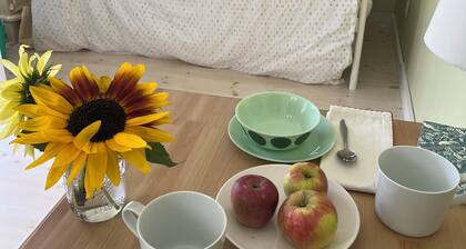 Oneonta/Cooperstown Baseball CharmingCottage at the church in Mount Vision.