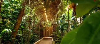 Room Cielo/ Hacienda Boutique B&B /Spa/Adults Only