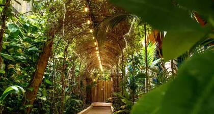 Room Cielo/ Hacienda Boutique B&B /Spa/Adults Only