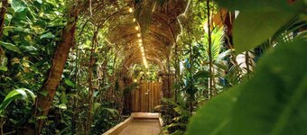 Room Fiesta/Hacienda Boutique B&B /Spa/Adults Only