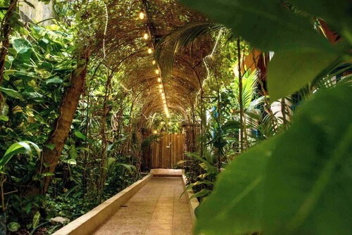 Room Taquito/Hacienda Boutique B&B/Spa/Adults Only