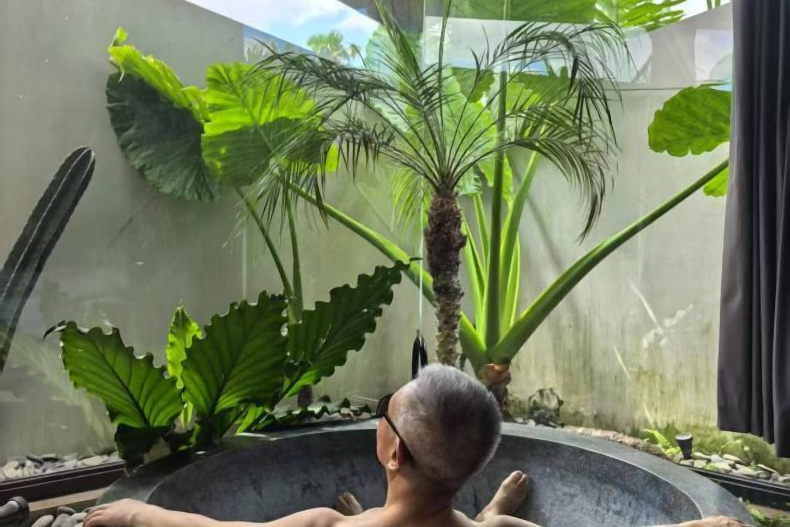 A person seated in a bathtub with large green plants in the background.