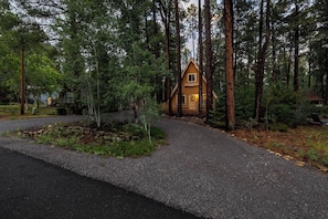 A cabin surrounded by tall pine trees with a gravel driveway leading to it.