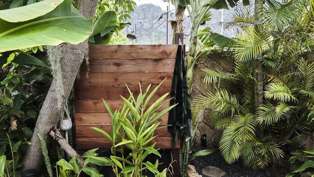 Een houten omheining in een weelderige tuin met diverse tropische planten en een boomstam.