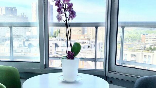 Une pièce avec une table ronde blanche, une orchidée en pot et une vue sur le paysage urbain, visible à travers de grandes fenêtres.