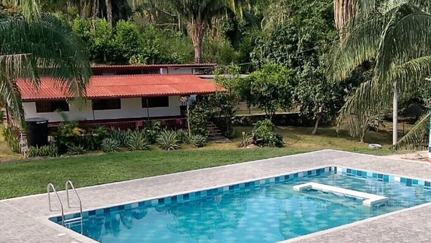 A rectangular swimming pool with a tiled edge, surrounded by a grassy area and a building with a red roof. - CASA DE CAMPO PRIVADA CON PISCINA (La Mesa)