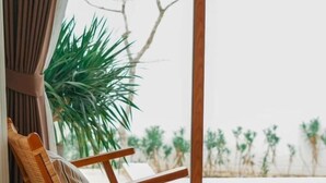 Une chaise en bois et une grande plante en pot sont placées près d’une fenêtre donnant sur une piscine et des palmiers.