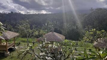 Área da propriedade