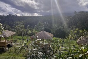 Property grounds - Metta Cabin Rice Terrace Babahan Bali (Bali)