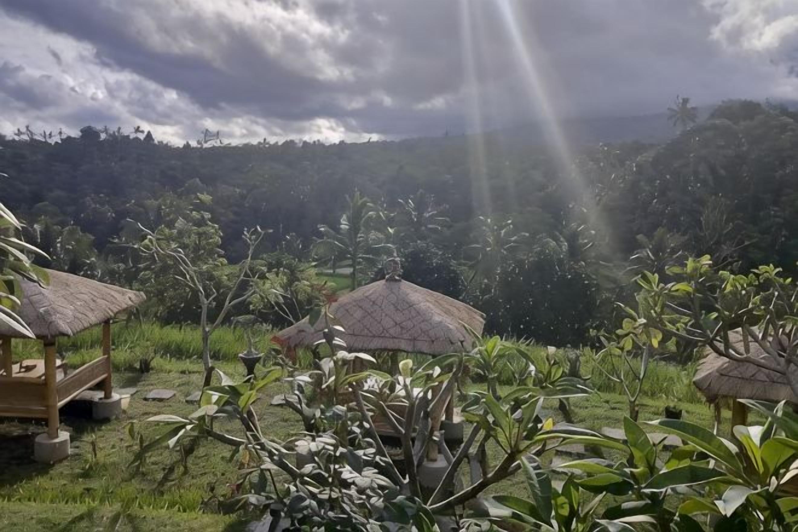 Un exuberante jardín con estructuras de techo de paja, probablemente parte de un resort u hotel.
