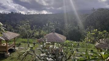Un exuberante jardín con estructuras de techo de paja, probablemente parte de un resort u hotel.