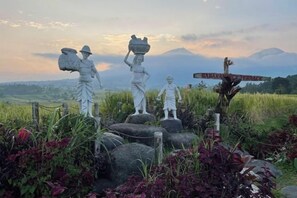 Unclassified image, 4 of 36, button - Metta Cabin Rice Terrace Babahan Bali (Bali)