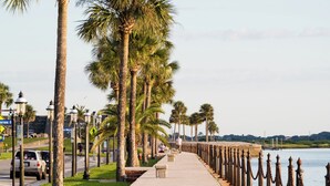A waterfront promenade with palm trees, a sidewalk, and a chain barrier.