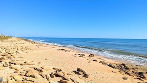 On the beach