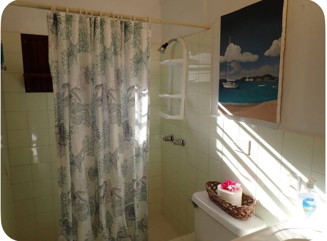 Ducha, secador de pelo, toallas, jabón