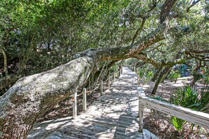 Terrain de lâhĂ©bergement