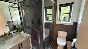 Shower, hair dryer, towels, soap