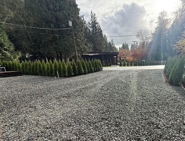 A gravel driveway leading to a building surrounded by evergreen trees.