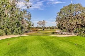 Golf - Updated, ground-floor condo in Amelia Island Plantation with patio & pool access (Fernandina Beach)