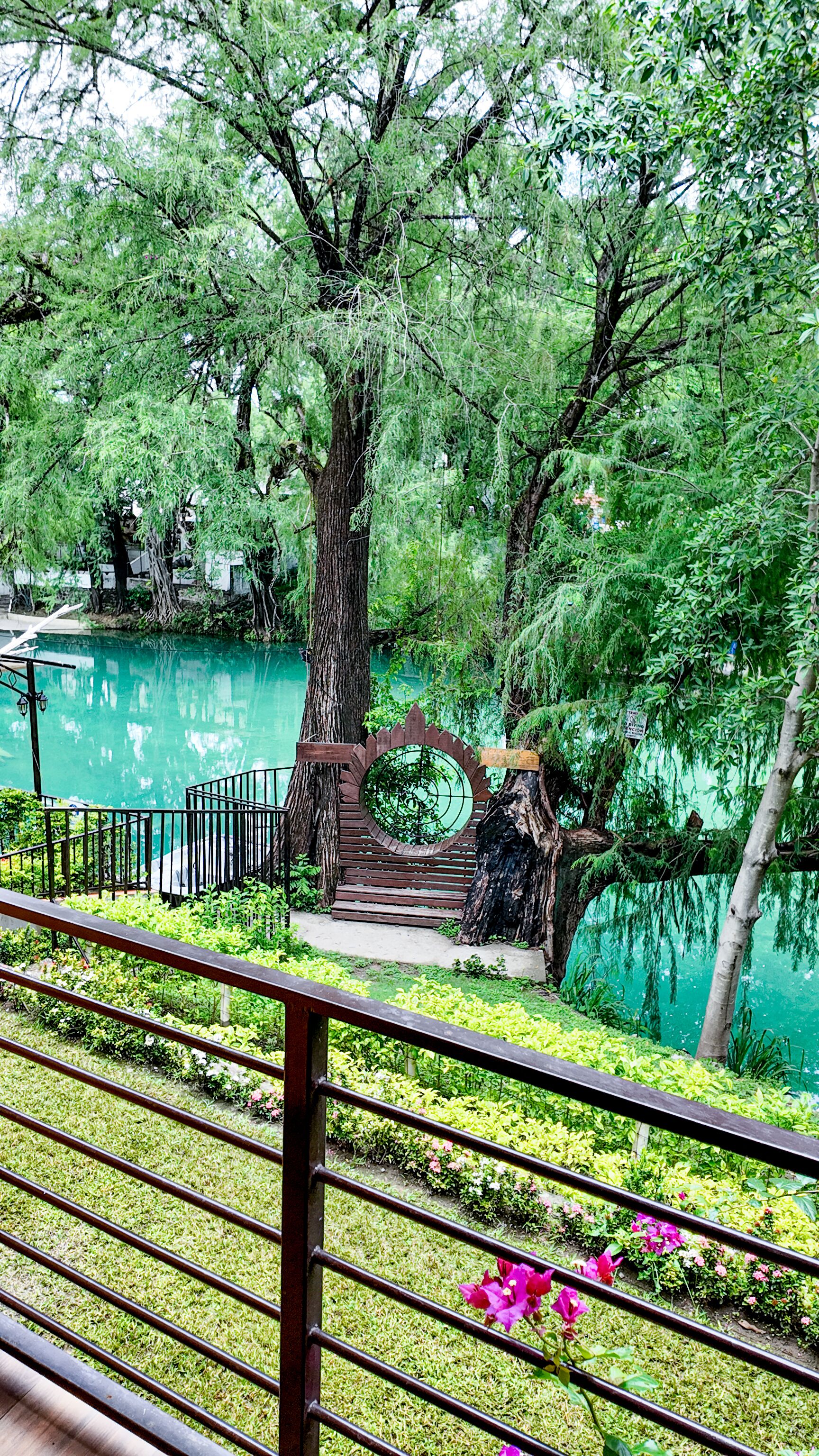 Un jardín tranquilo con un gran árbol, un banco de madera y un estanque azul cristalino.