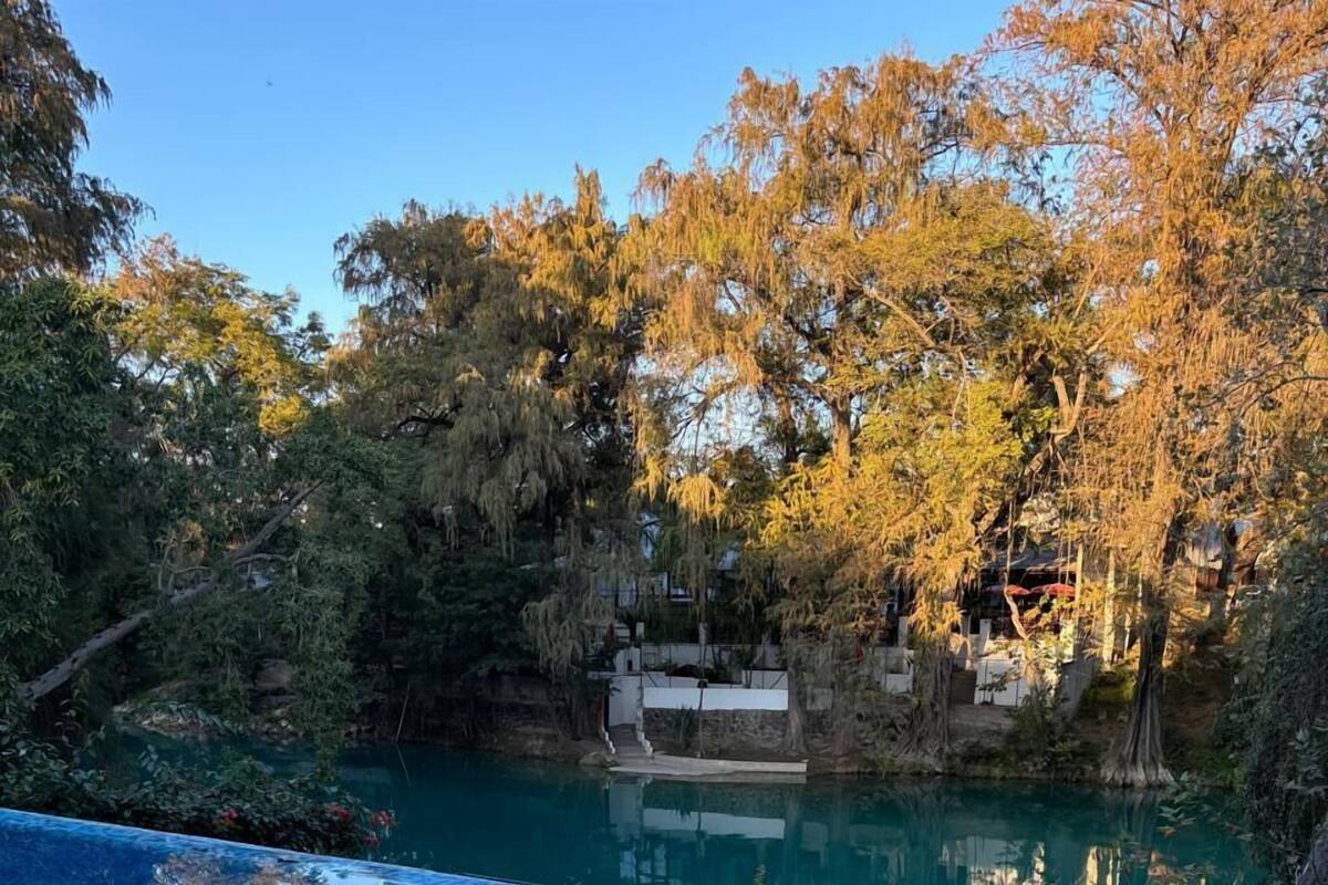 An infinity pool with a clear view of a river and trees in the background.