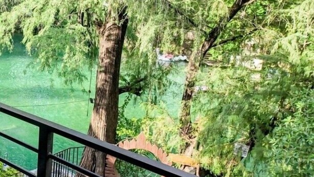 A balcony with a view of a lush green area, including trees and a clear body of water.