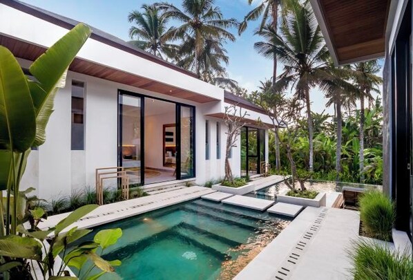 A modern house with a swimming pool, surrounded by tropical plants and palm trees.