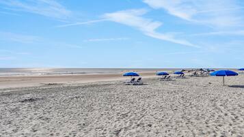Playa