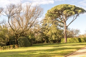 Property grounds - Les Hortensias - Aigrefeuille (Aigrefeuille)