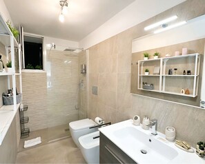Shower, hair dryer, bidet, towels