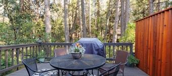 Charming 2-bedroom cabin in Idyllwild, right on Strawberry Creek, close to town