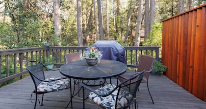 Charming 2-bedroom cabin in Idyllwild, right on Strawberry Creek, close to town