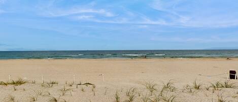 Een strand met duinen en een heldere lucht.