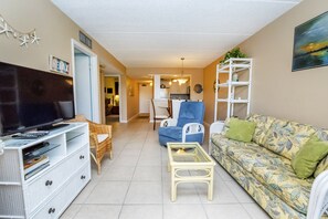 TV, DVD player, books - Lovely Oceanside Home w/Outdoor Shower/Free WiFi/Shared Pool/Hot Tub/Tennis/AC (St. Augustine)