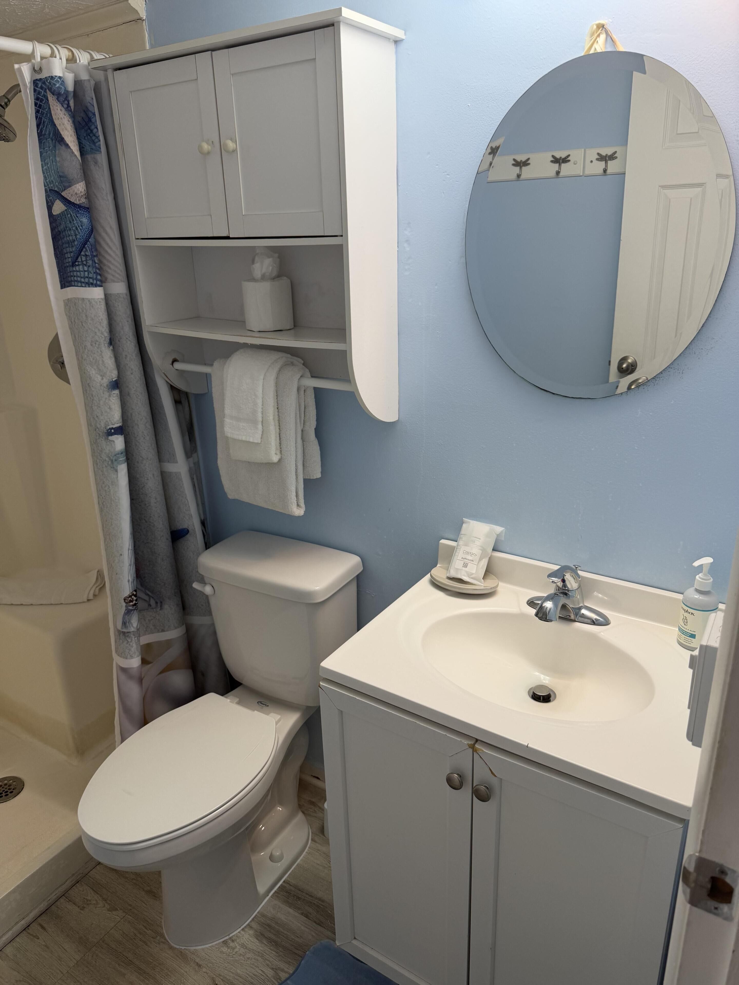 A bathroom with a toilet, sink, mirror, and shower curtain.