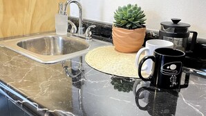 A kitchen with a stainless steel sink, a potted succulent, a coffee maker, and a black mug. - Living Universidad (Puebla)