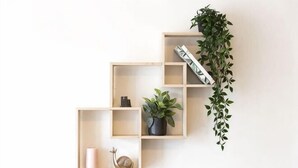 A wall-mounted wooden shelf unit with multiple compartments, some containing plants and others empty. - A Cozy Studio CBD Next to Darling Harbour (Sydney)