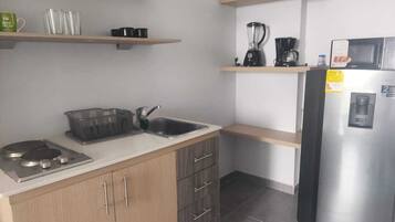 Standard Apartment, City View | Private kitchen | Full-size fridge, blender