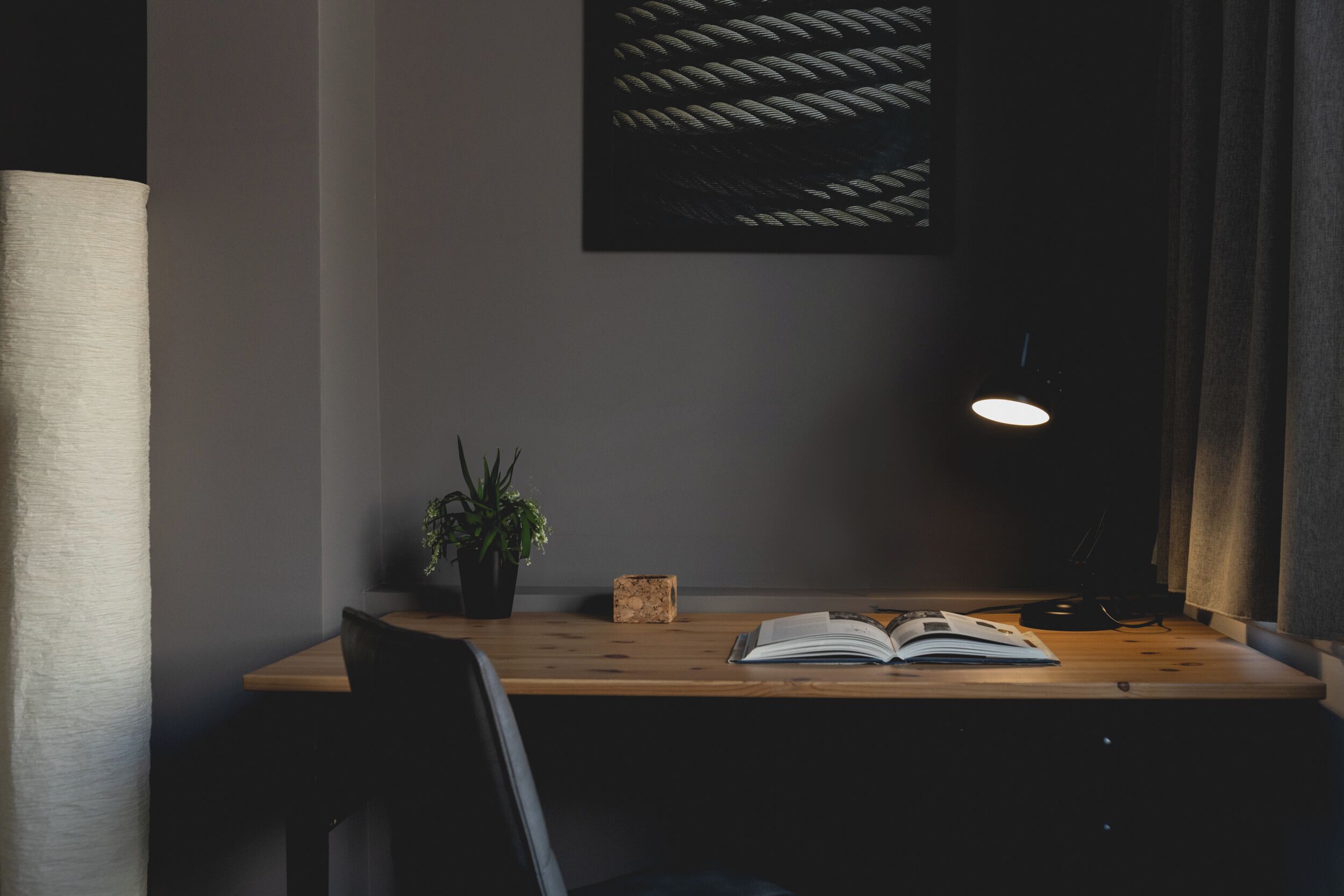 A desk with a plant, a book, and a lamp in a dimly lit room.