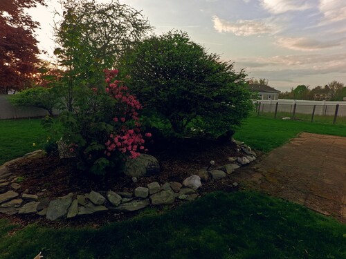 Charming 3-bedroom house in Portsmouth with beach at the end of the street.