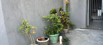 Resid.Jasmim. Simple and cozy house. Palmas TO. Pets allowed