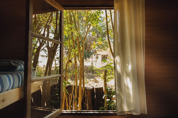 Classic Shared Dormitory | Free WiFi