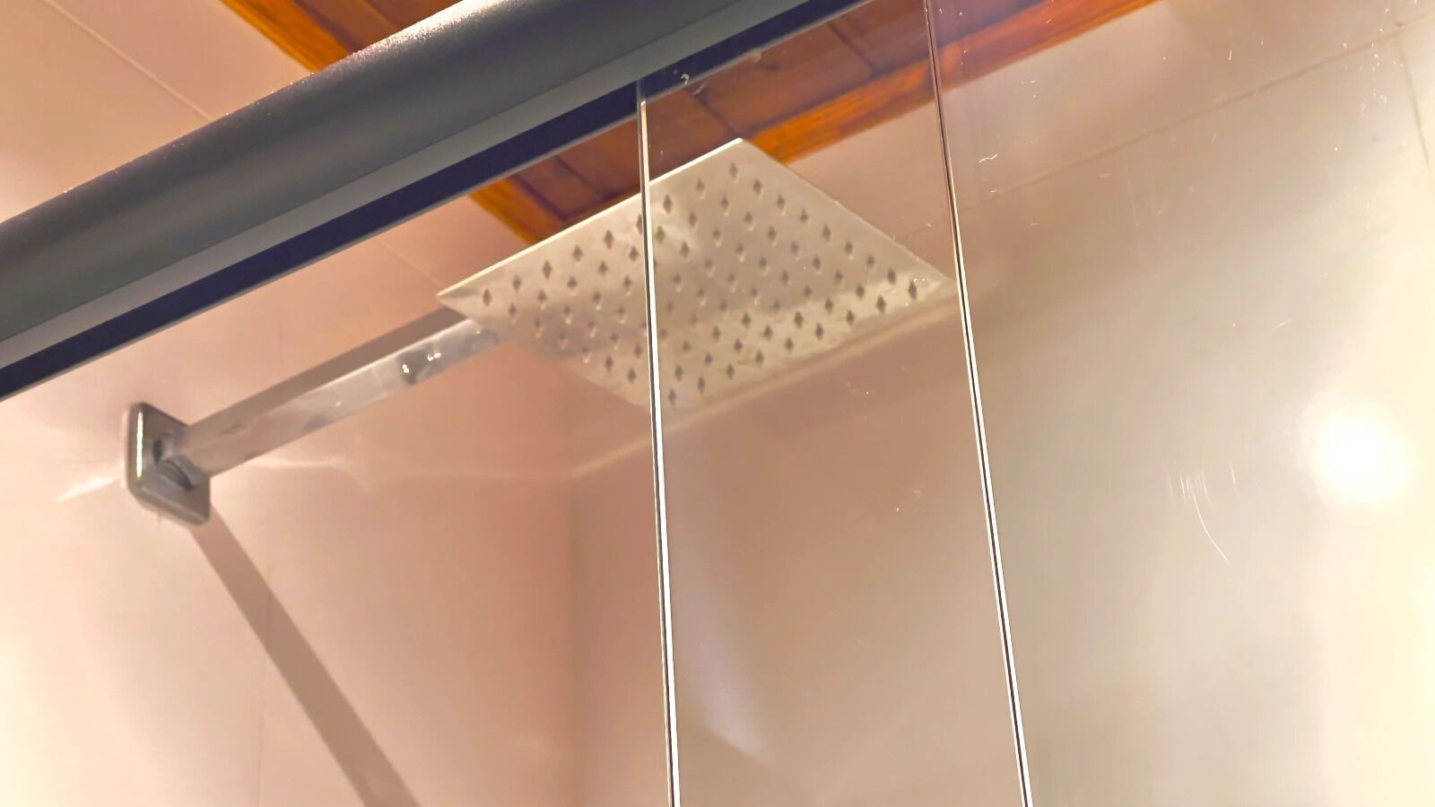 A shower with a glass enclosure and a metal support structure.