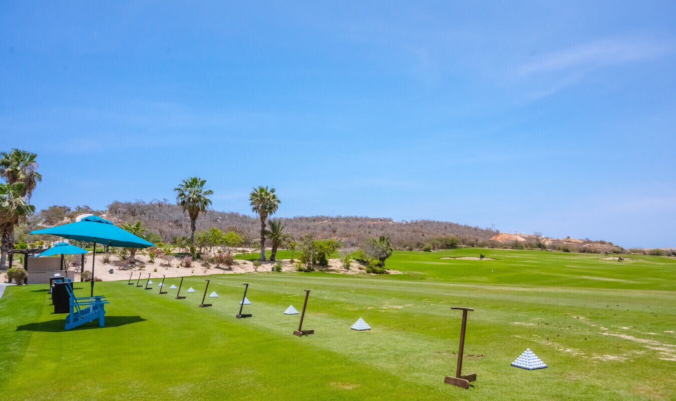 Un parcours de golf avec un ciel dégagé, des palmiers et un gazon bien entretenu.