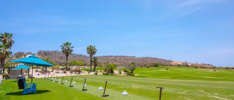 Un parcours de golf avec un ciel dégagé, des palmiers et un gazon bien entretenu.