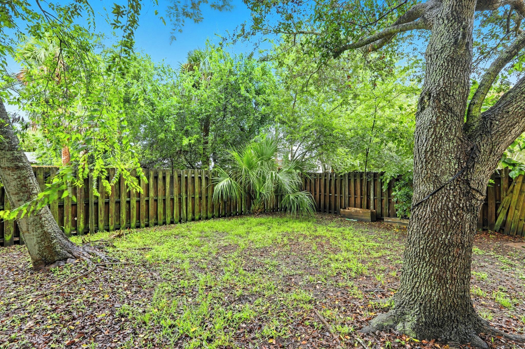 A backyard with a wooden fence, a large tree, and a grassy area with scattered leaves.