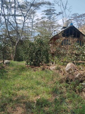 Fachada del alojamiento