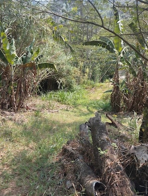 Panoramic-Ferienhütte | Wohnbereich